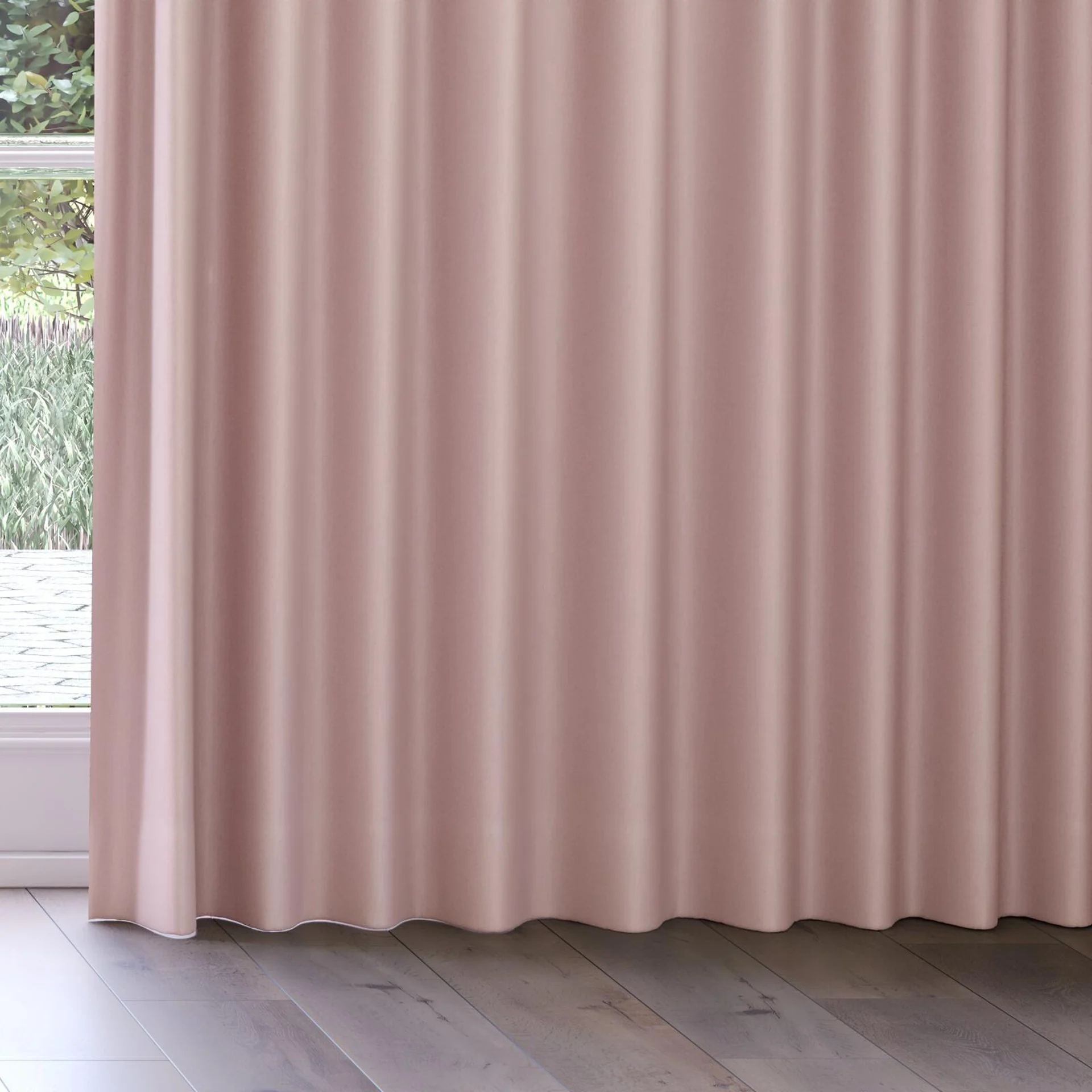 Bottom view of Woolskin Orchid, on curtain rail
