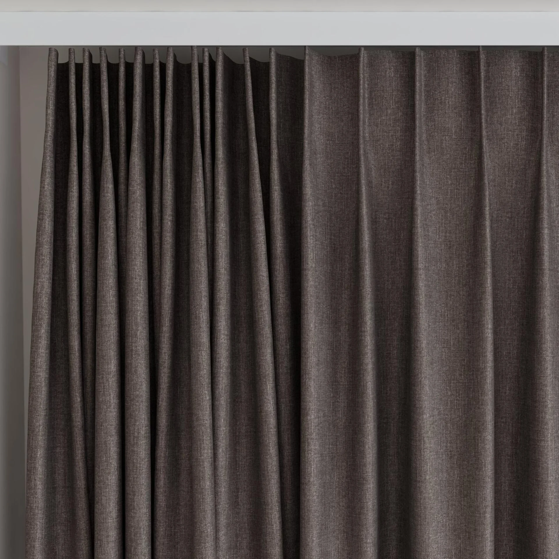 Top view of Kidglove Brownie, on curtain rail