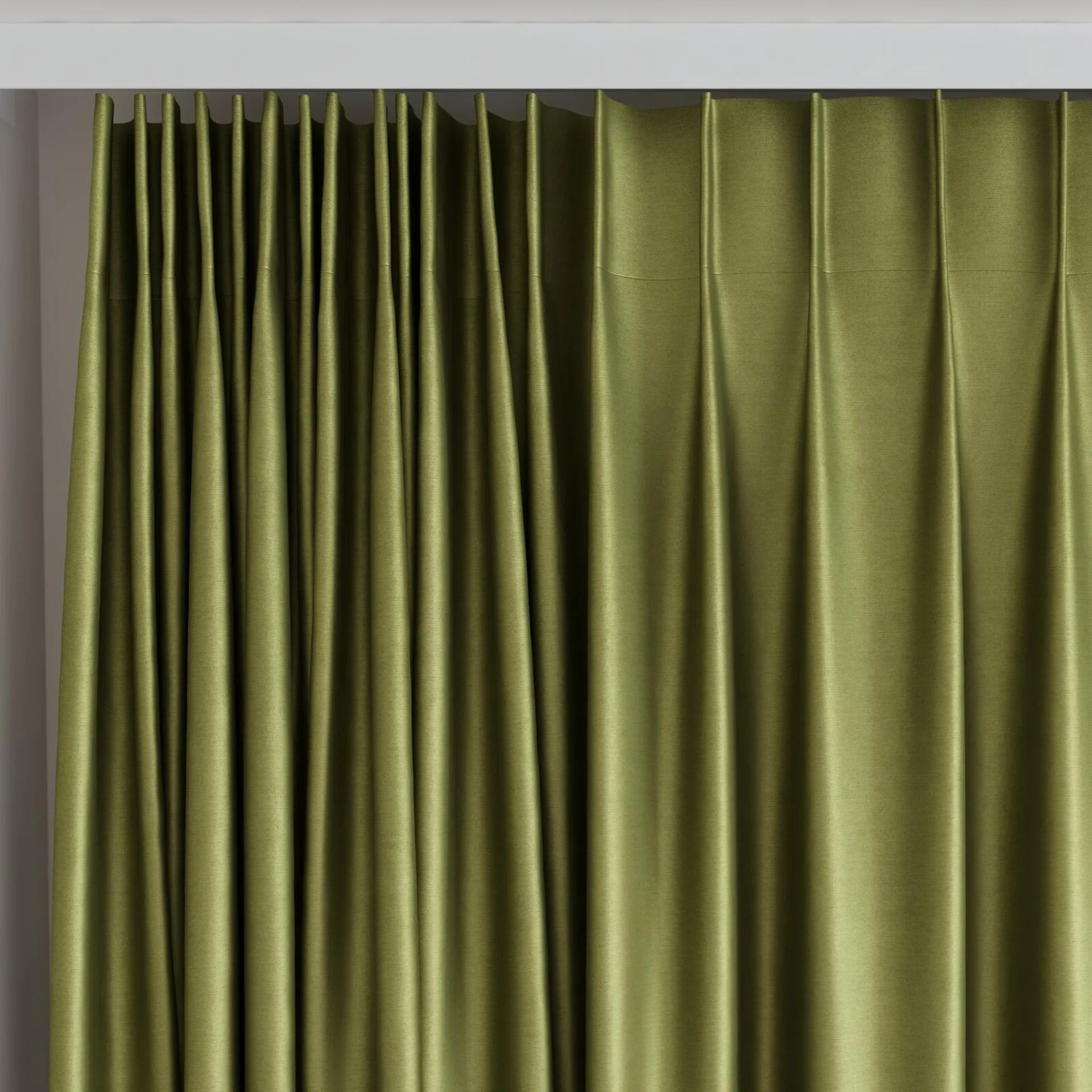 Top view of Mont Blanc Cactus, on curtain rail