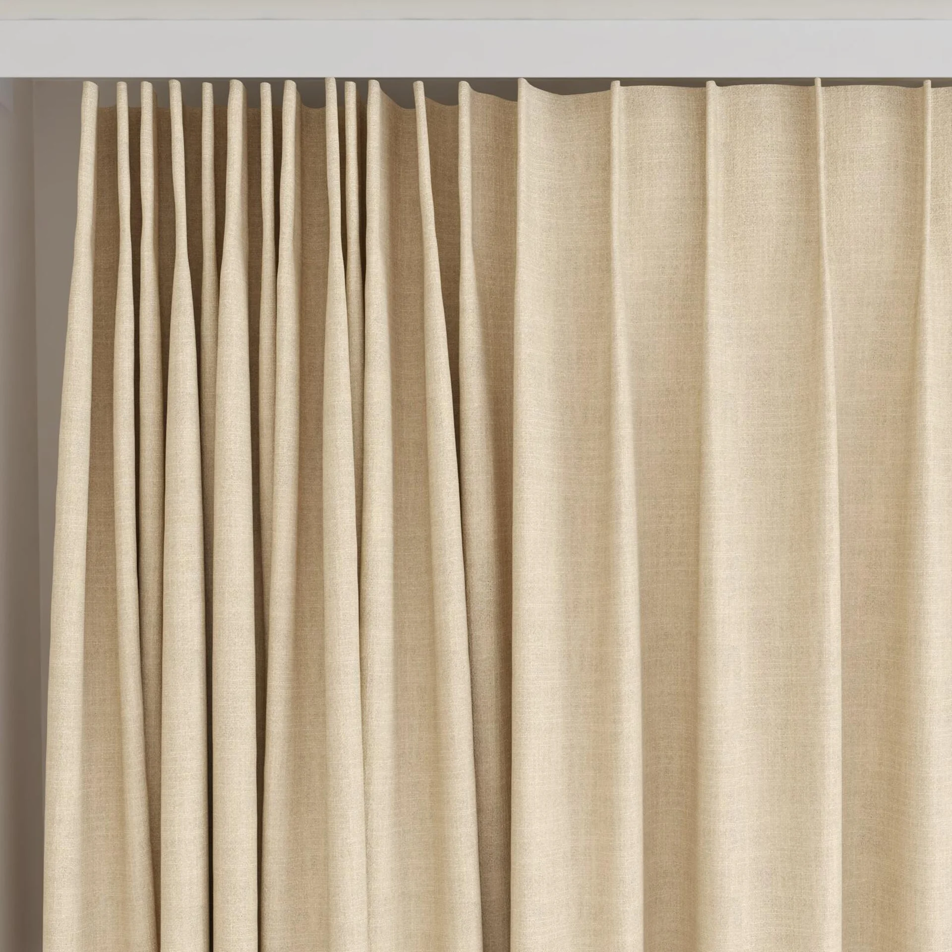 Top view of Mauritius Papyrus, on curtain rail