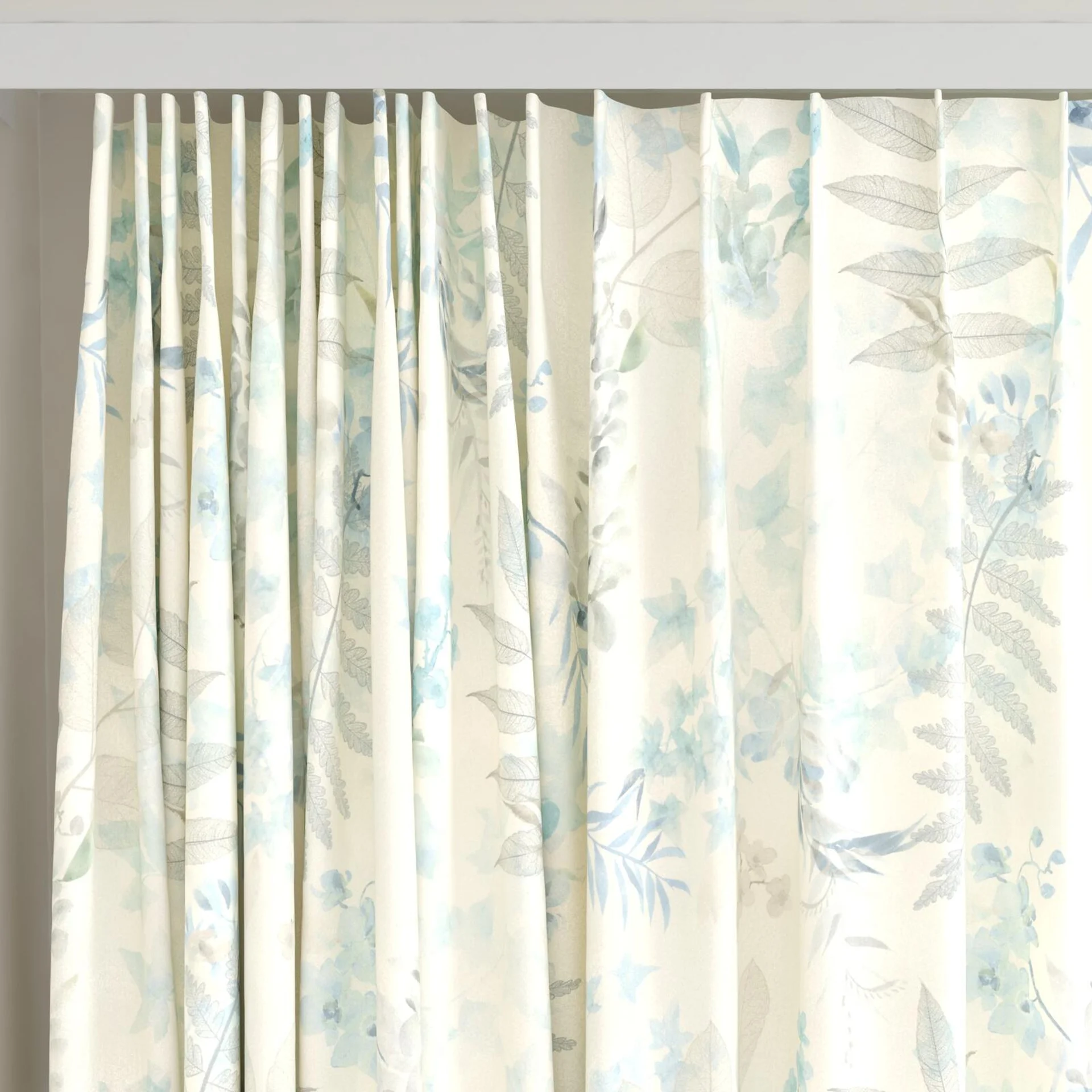 Top view of Plumeria Azure, on curtain rail