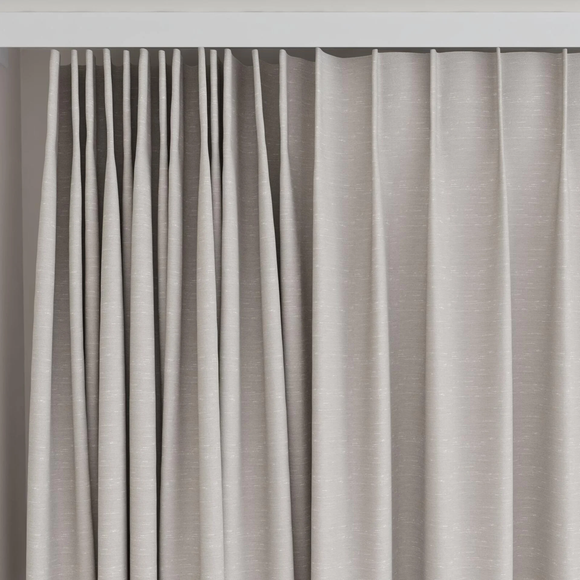 Top view of Maharaja II Dove, on curtain rail