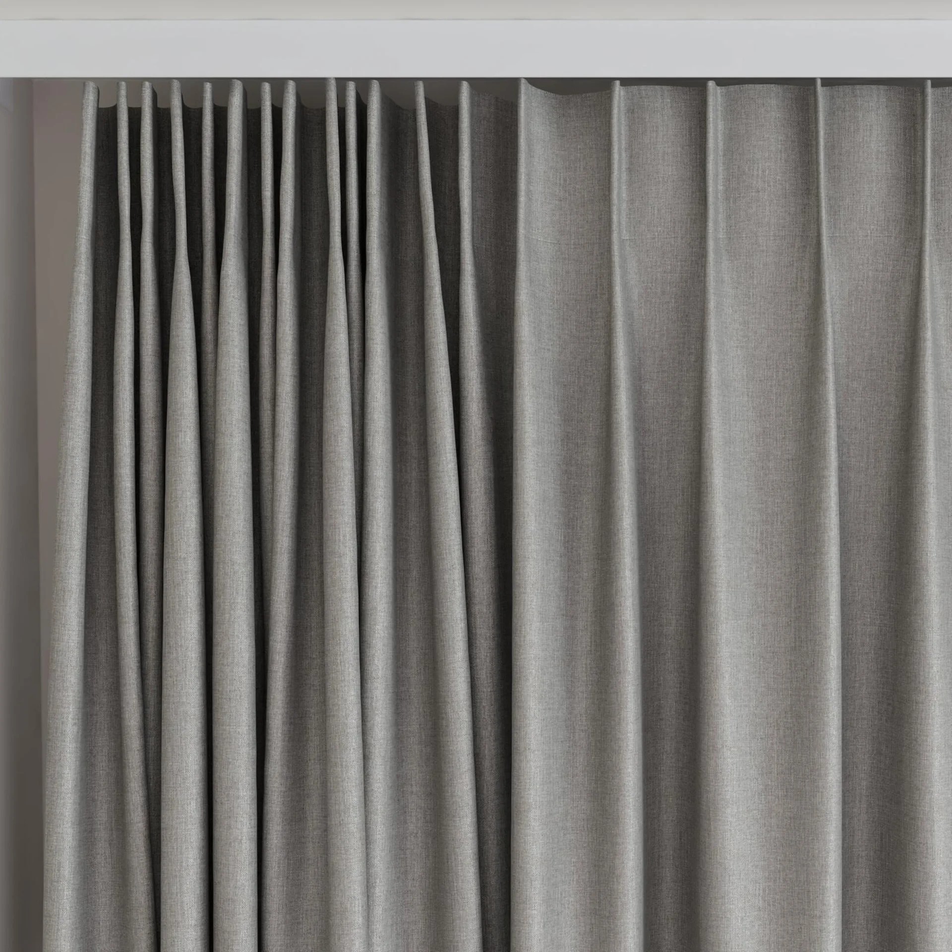 Top view of Kidglove Chinchilla, on curtain rail