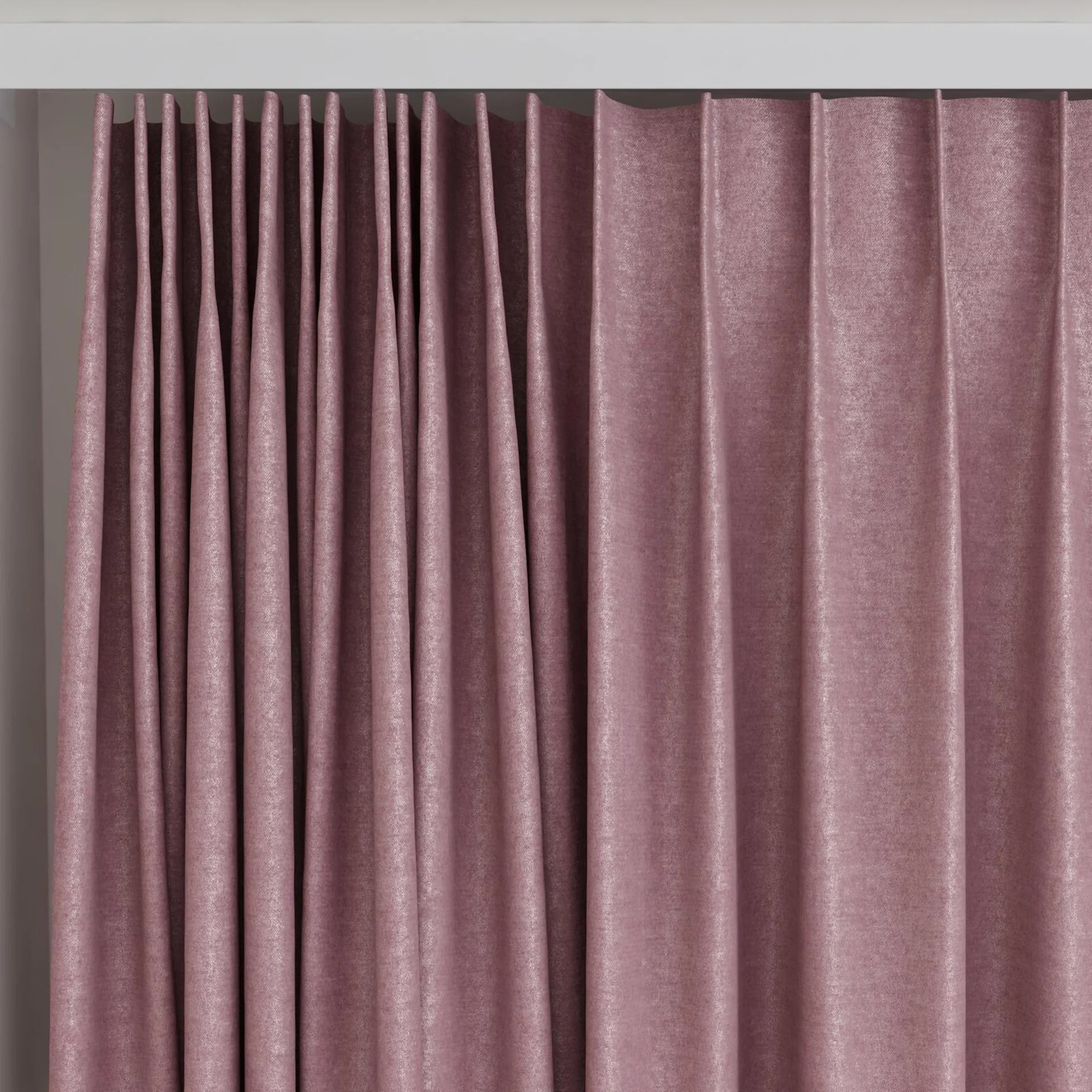Top view of Drama Orchid, on curtain rail