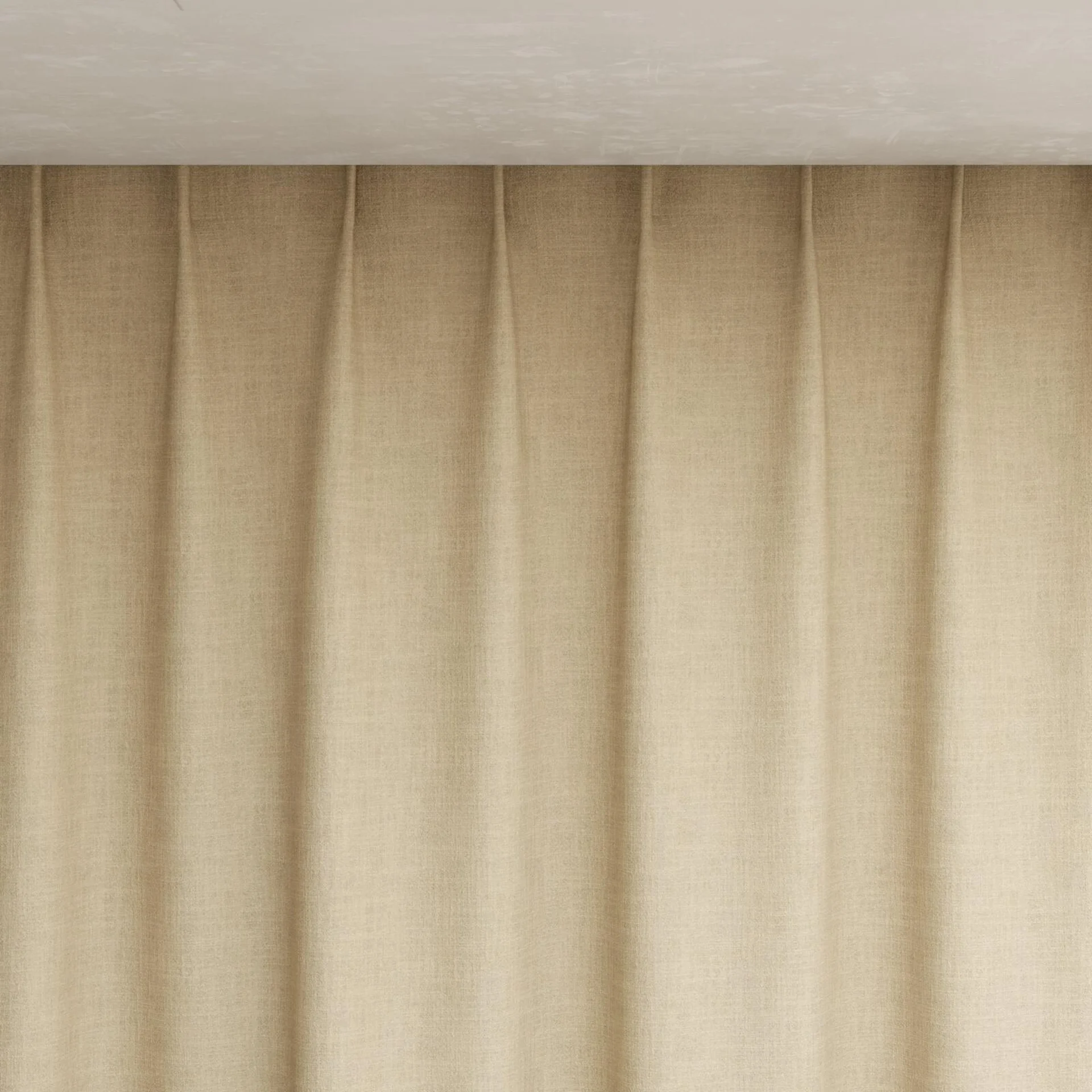 Top view of Mauritius Papyrus, pinch pleat