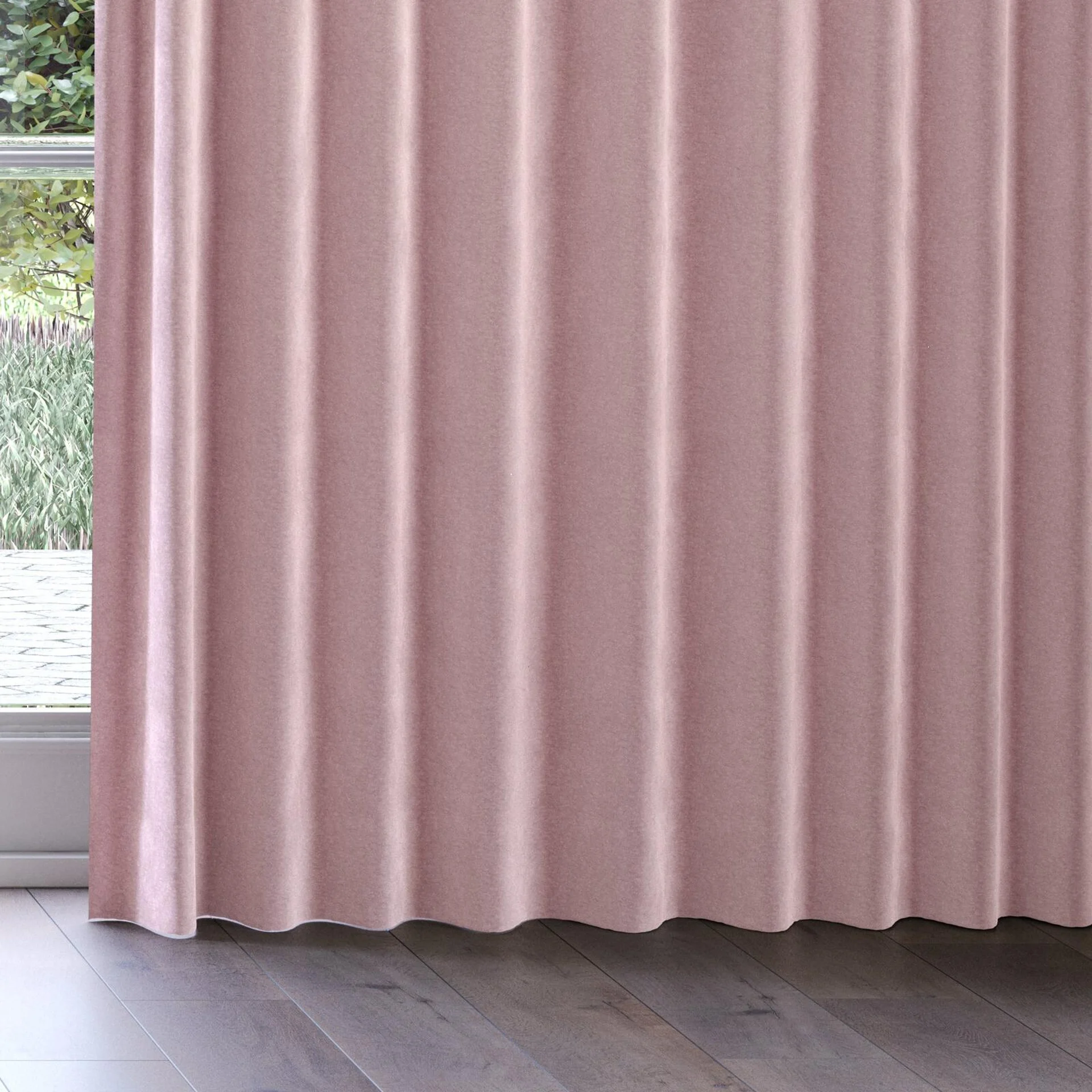 Bottom view of Geneva Orchid, on curtain rail