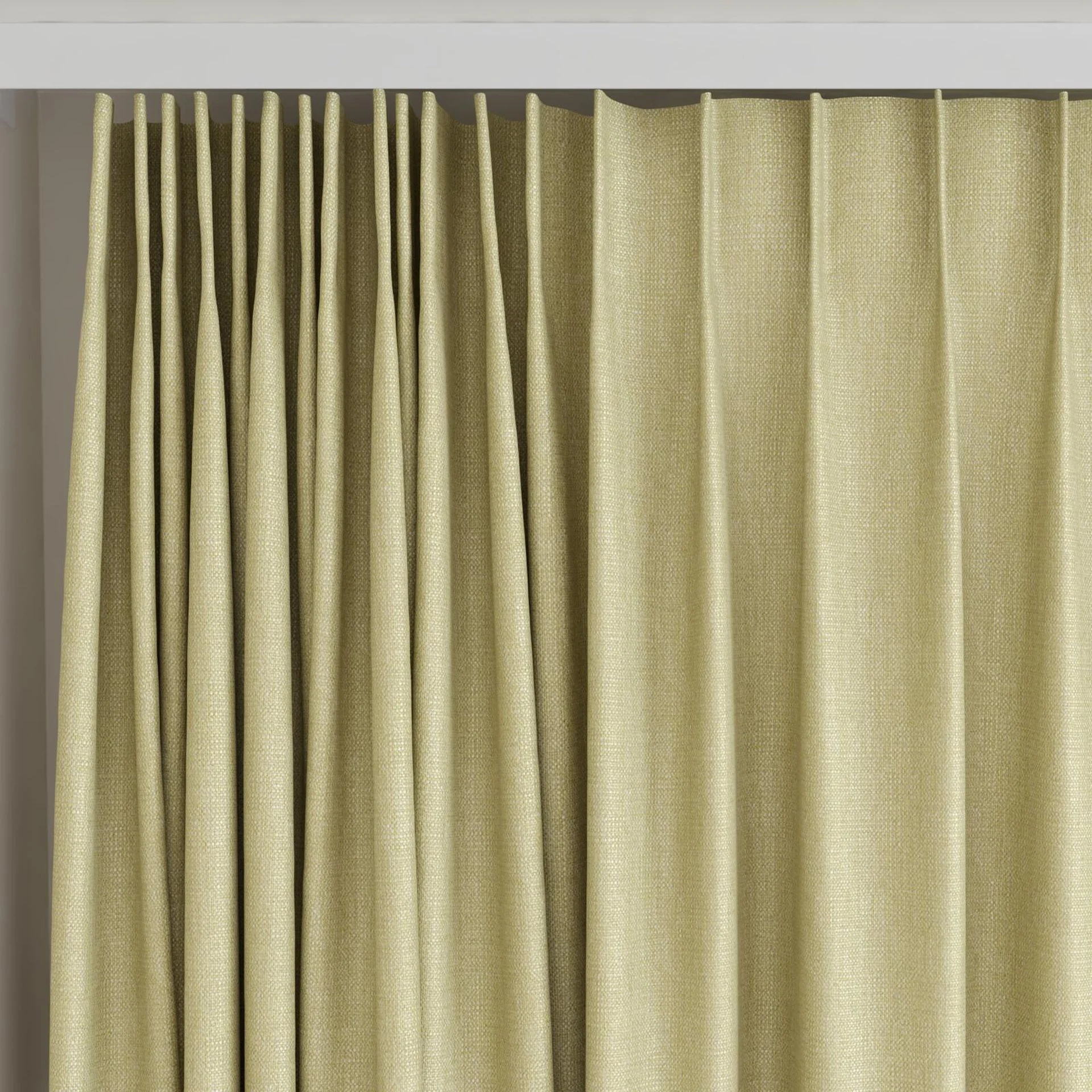 Top view of Gent Thyme, on curtain rail