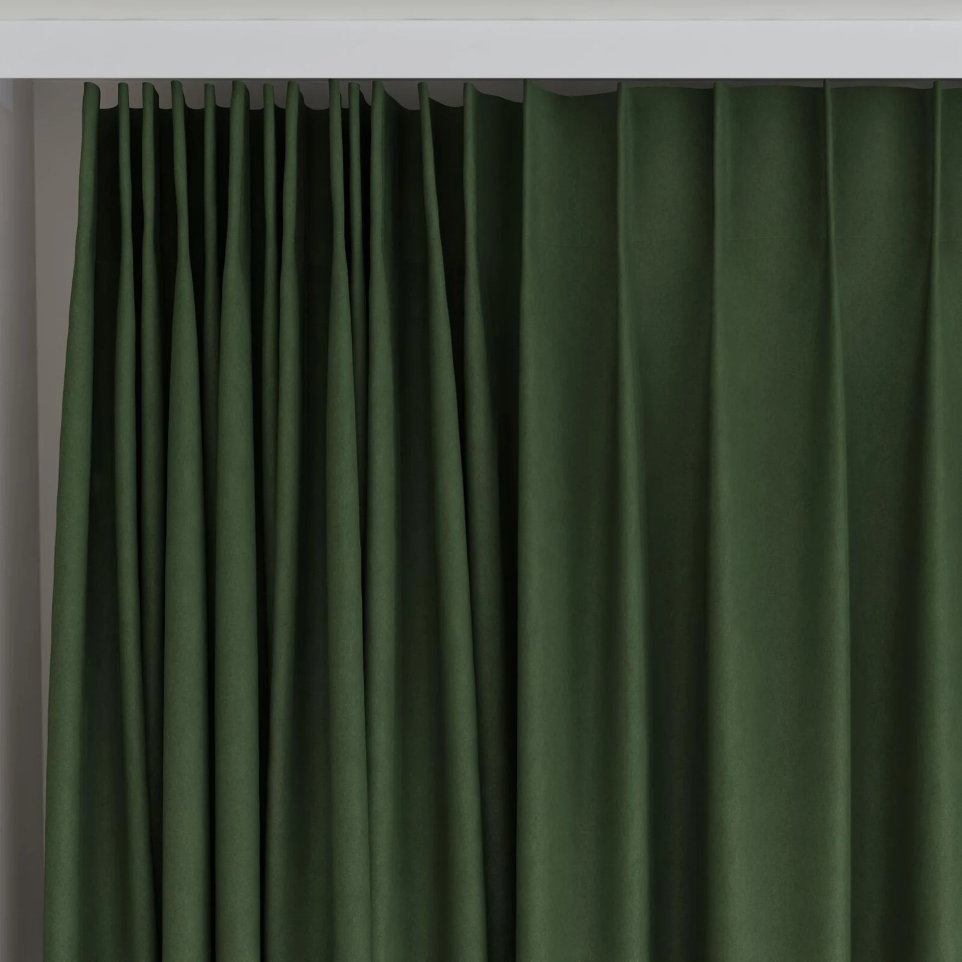 Top view of Lech Turtle, on curtain rail