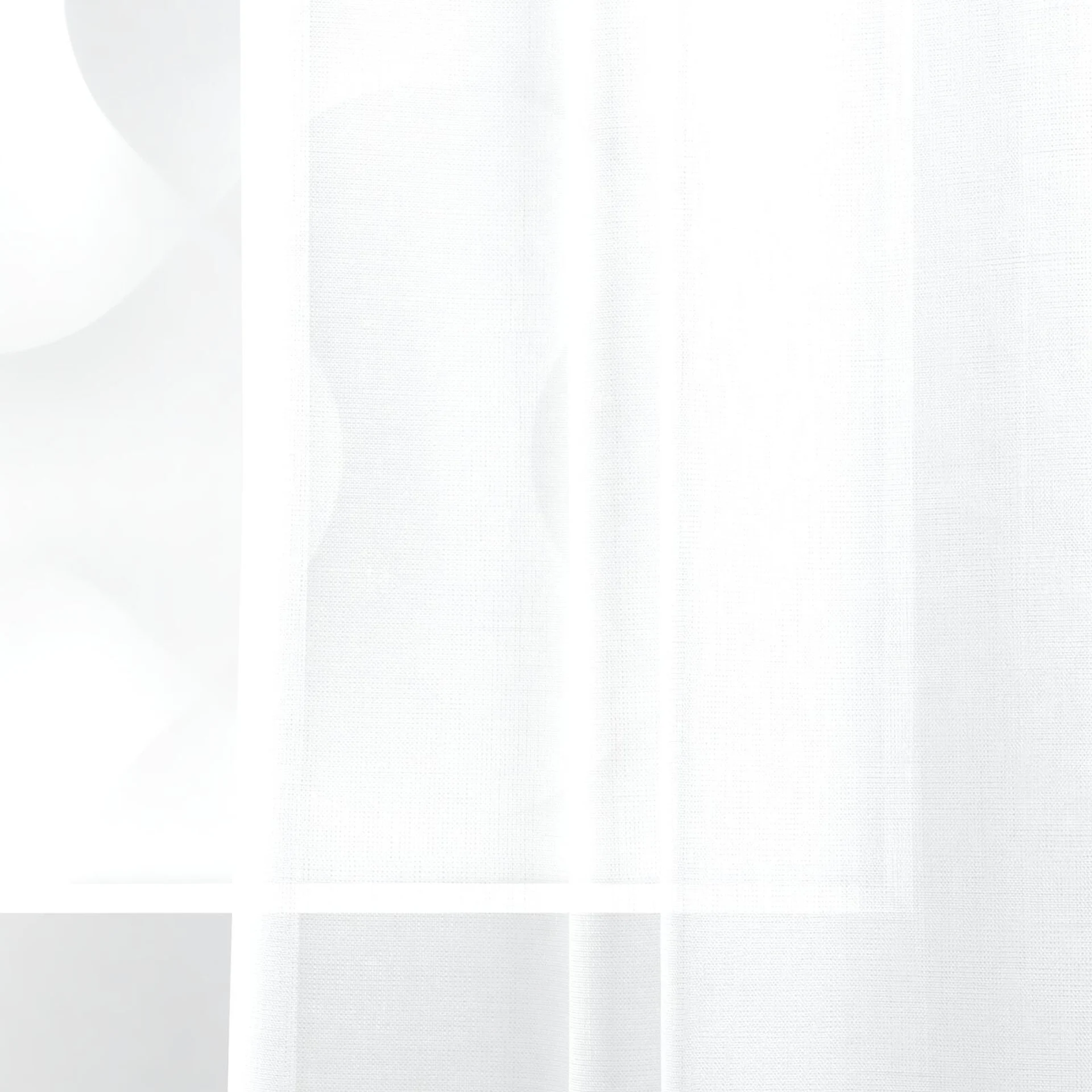 Detailed view of Cavalier White