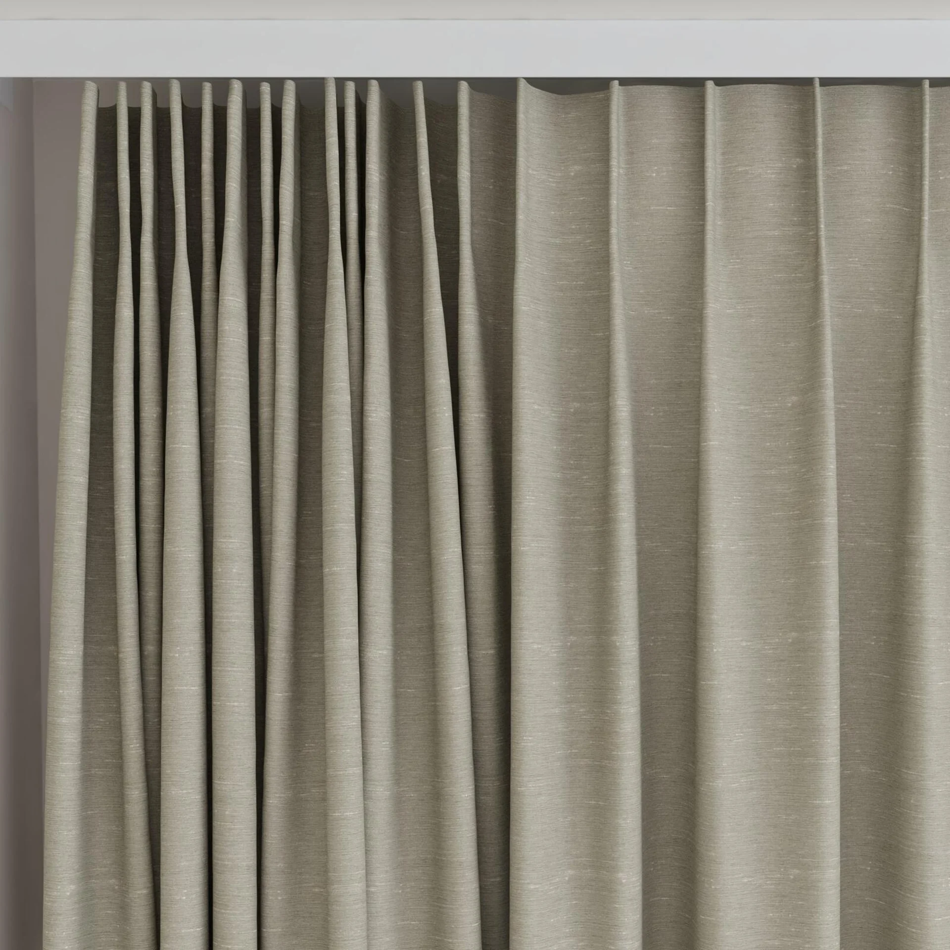 Top view of Maharaja II Sage, on curtain rail
