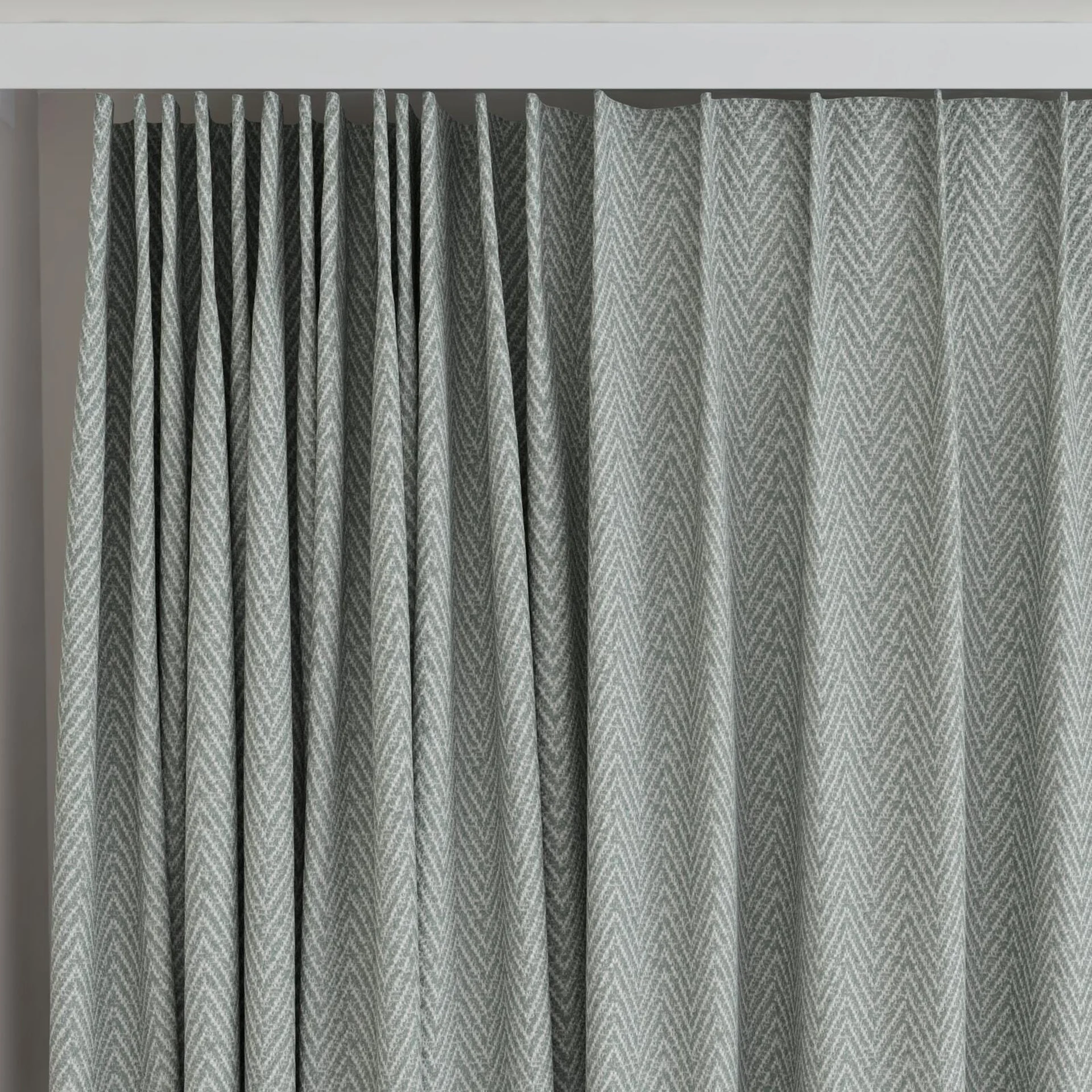 Top view of Saiph Lichen, on curtain rail