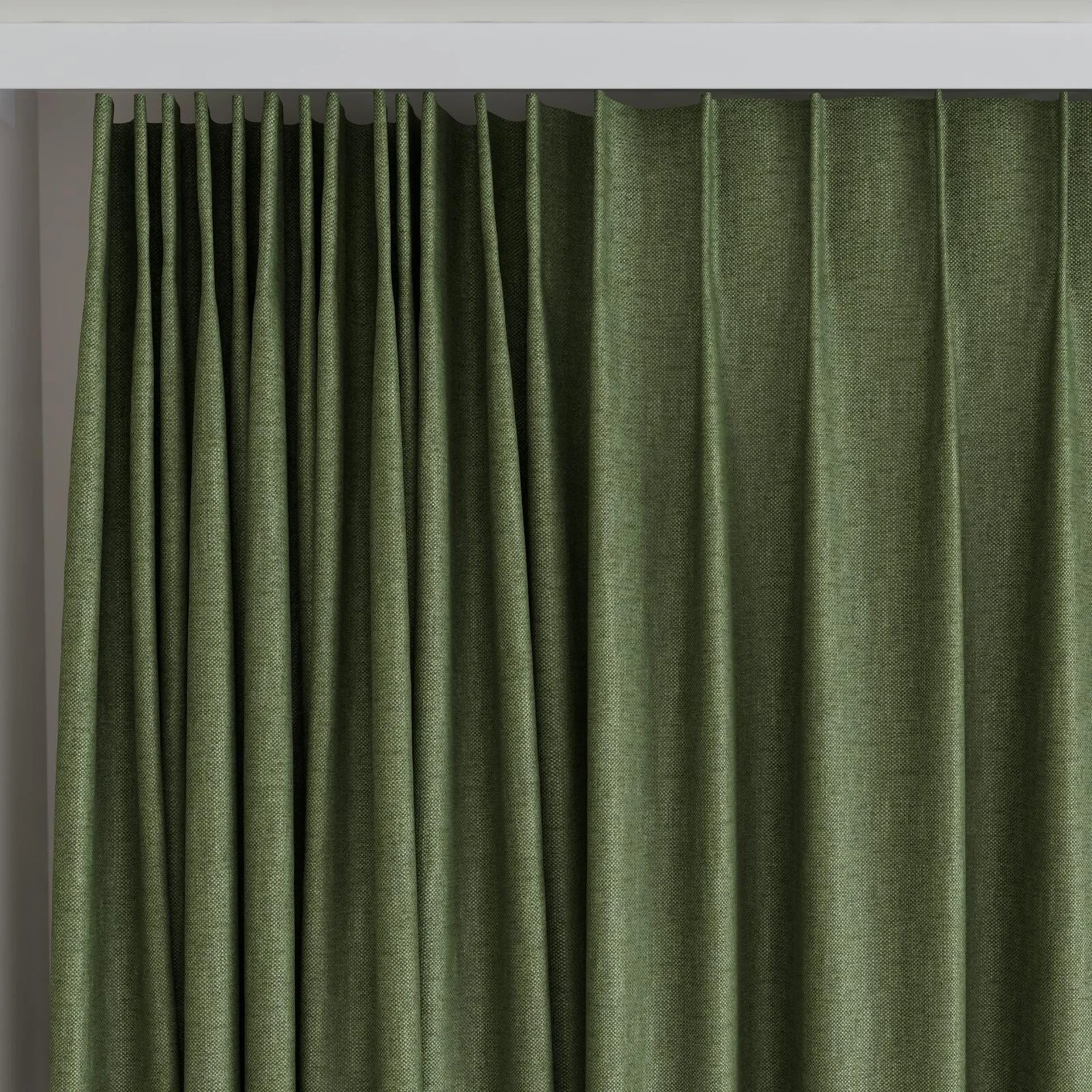 Top view of Bronco Basil, on curtain rail