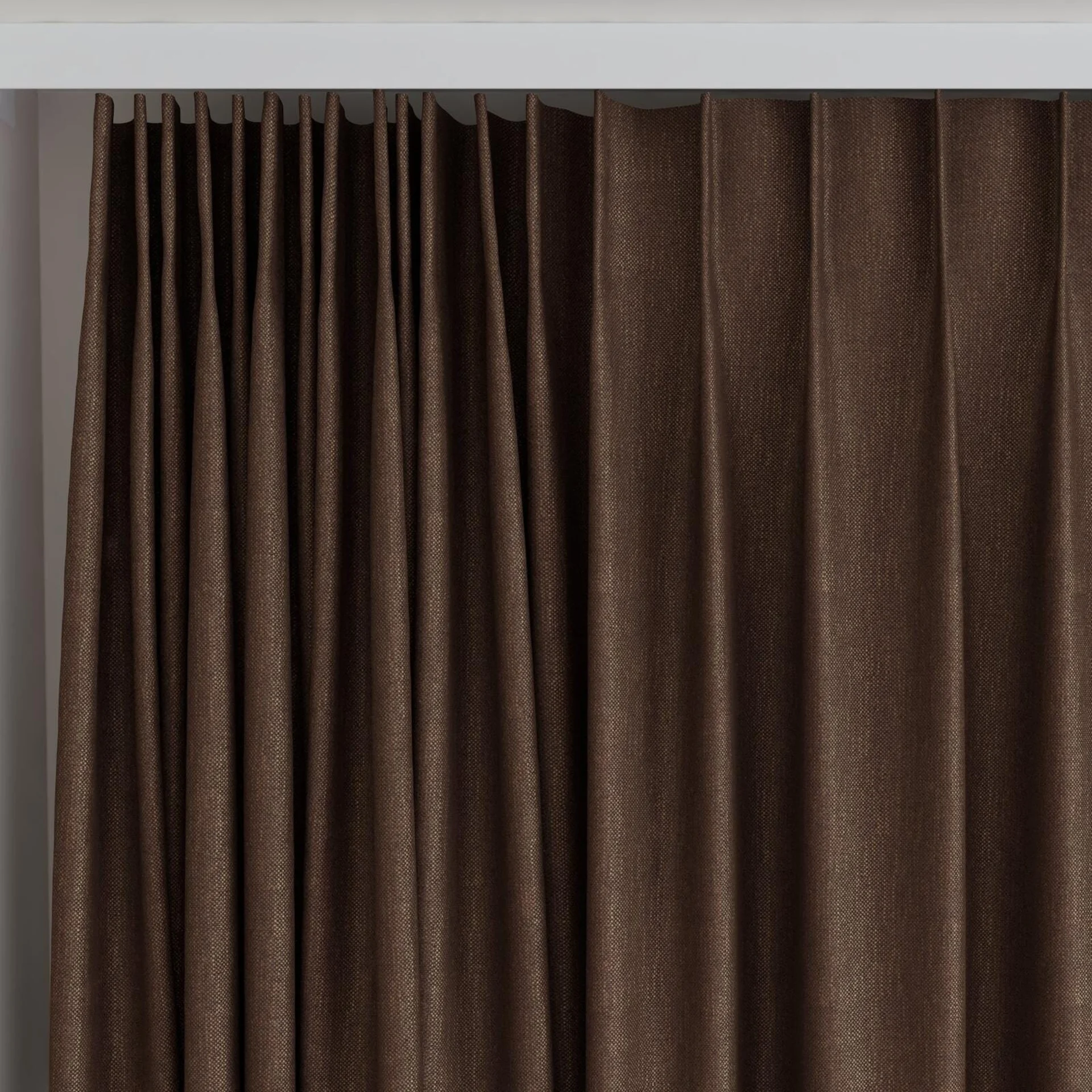Top view of Bronco Cocoa, on curtain rail