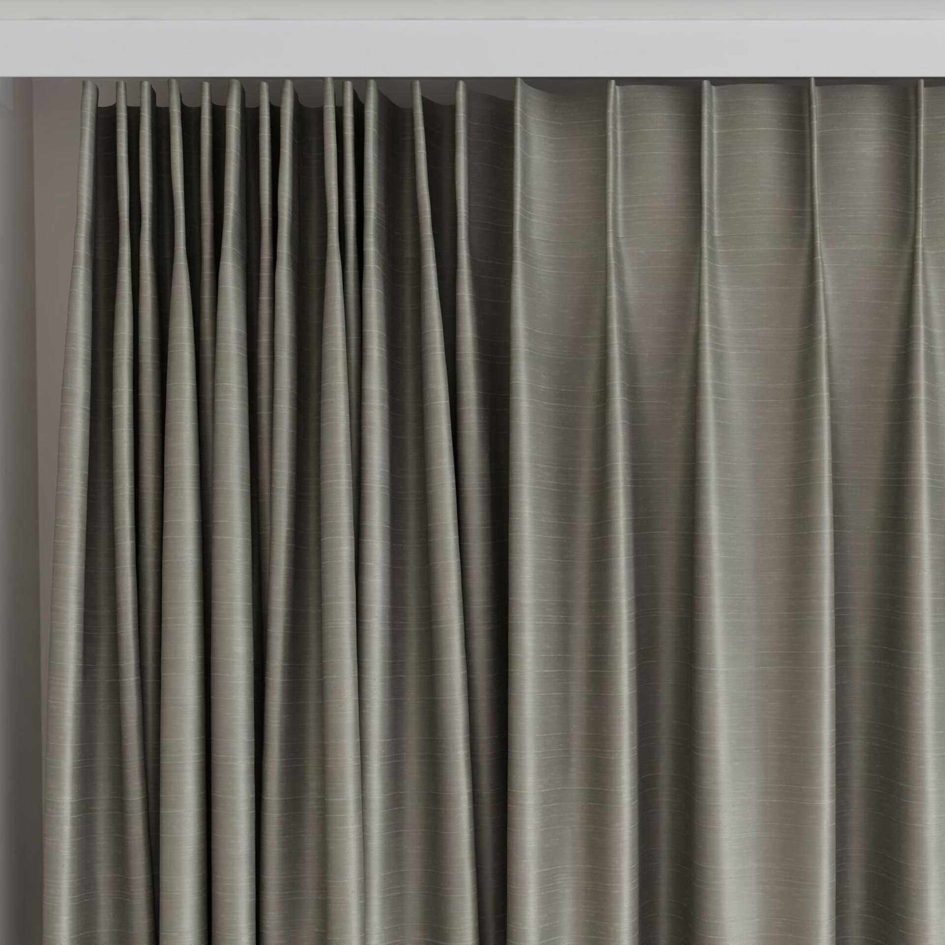 Top view of Silky Falcon, on curtain rail