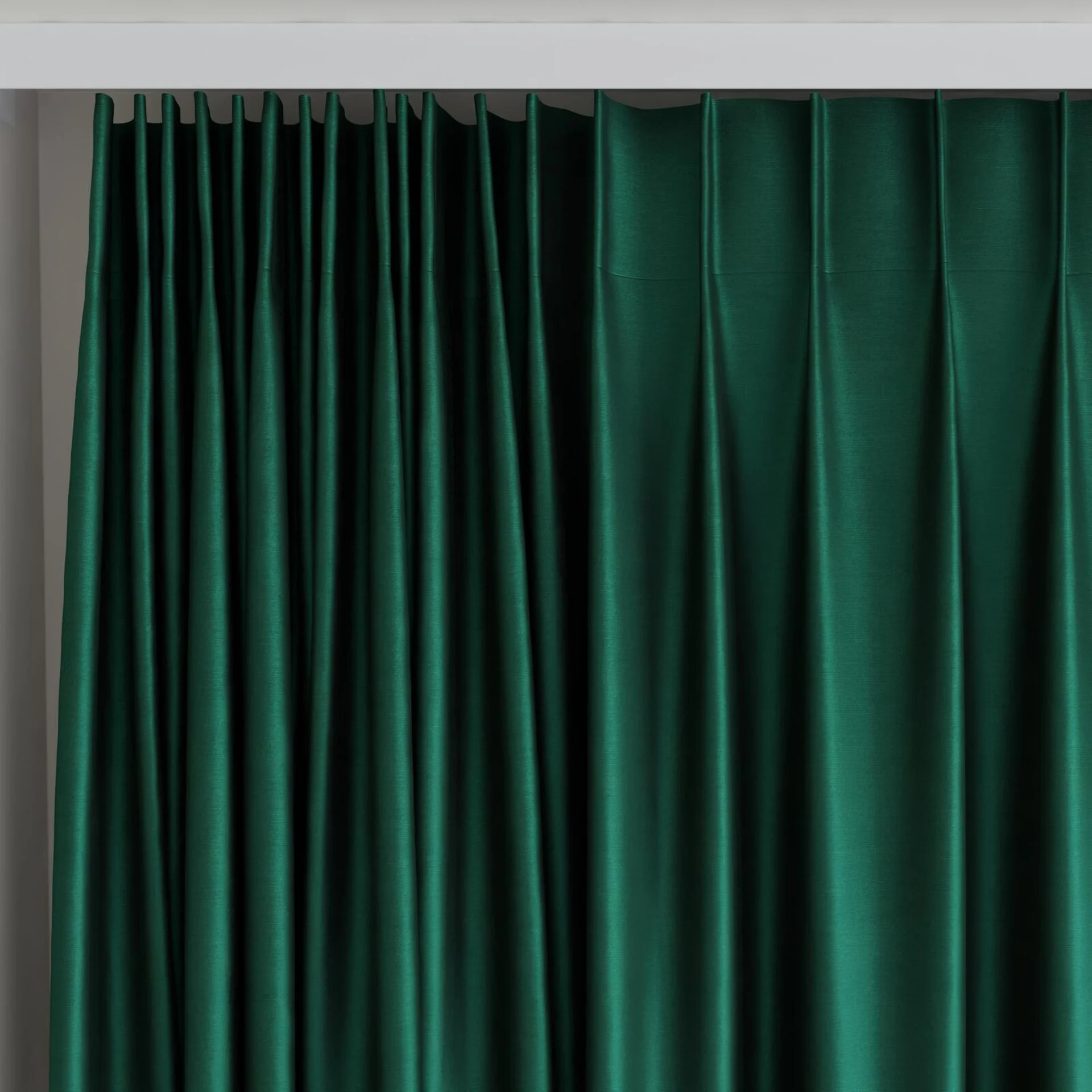 Top view of Mont Blanc Beetle, on curtain rail