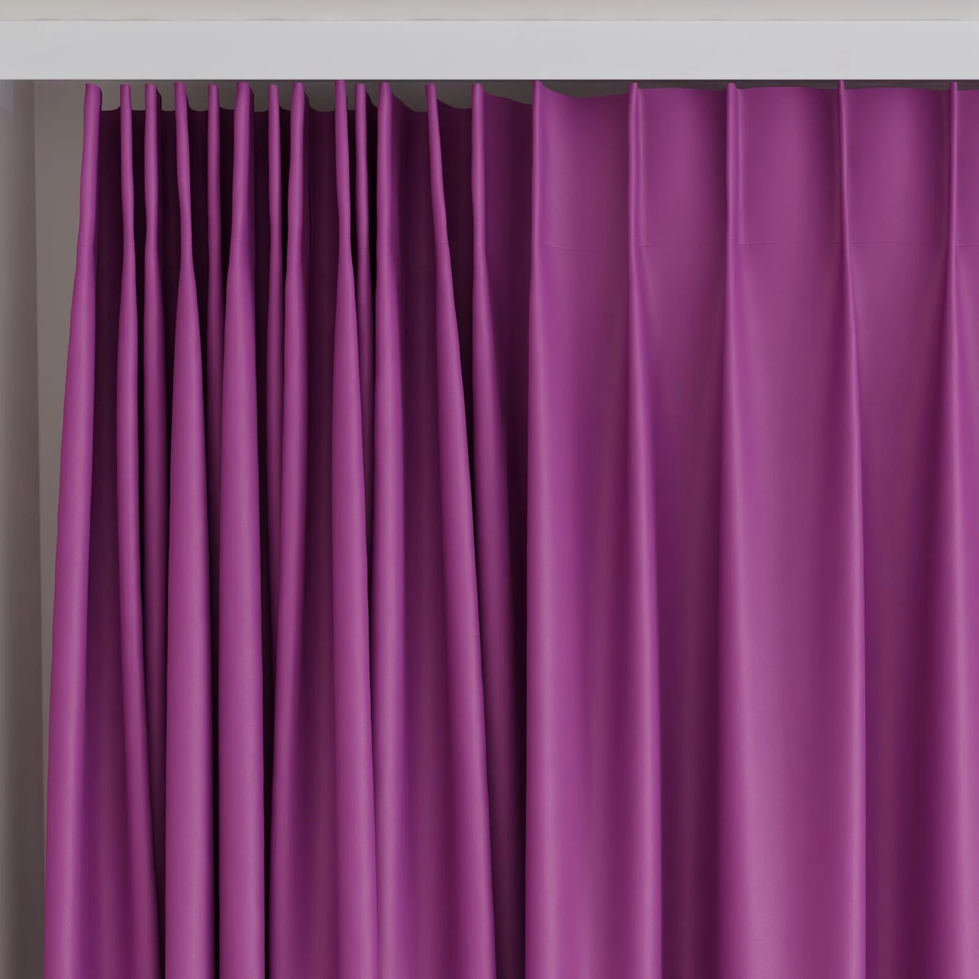 Top view of Blockbuster Crocus, on curtain rail