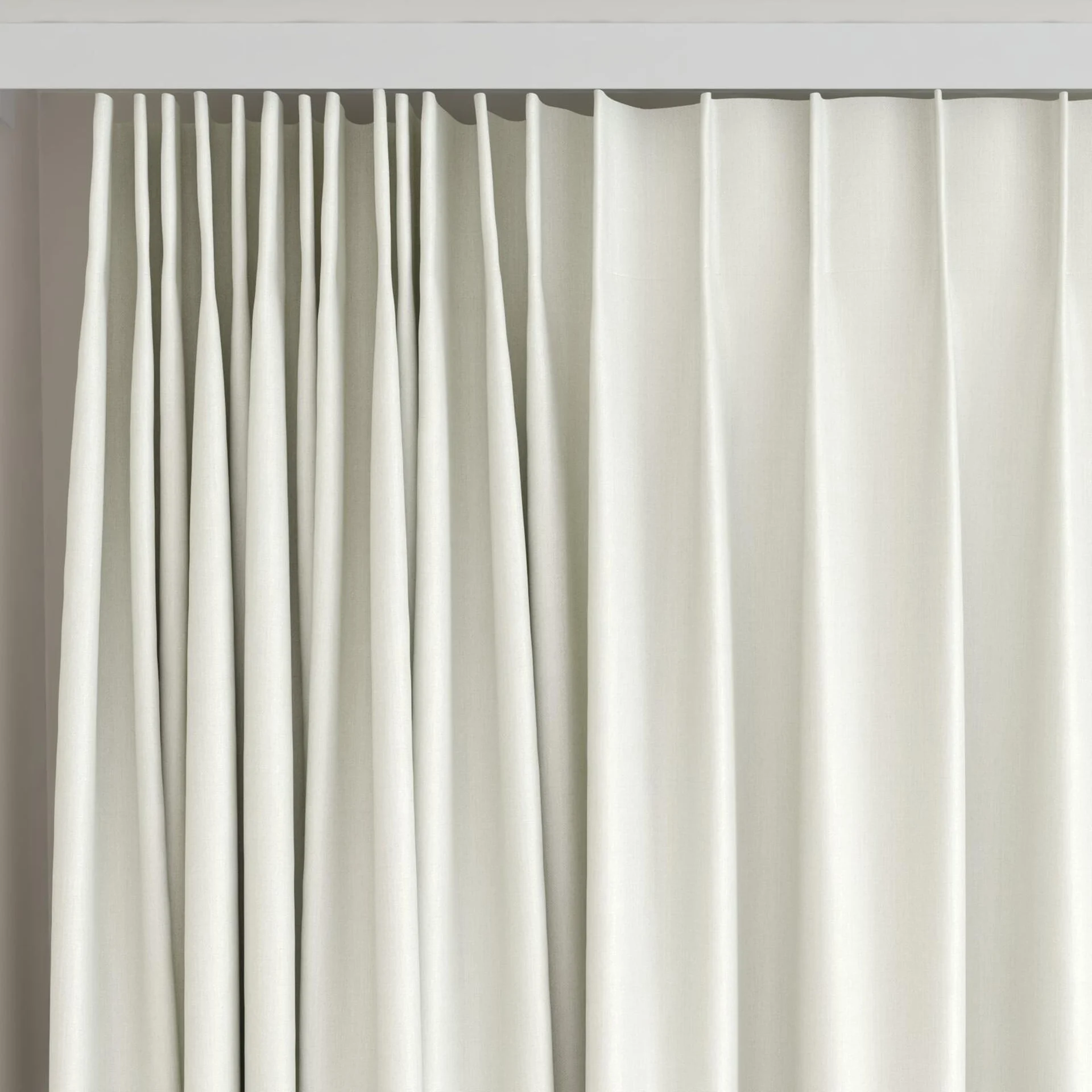 Top view of Kidglove Papyrus, on curtain rail