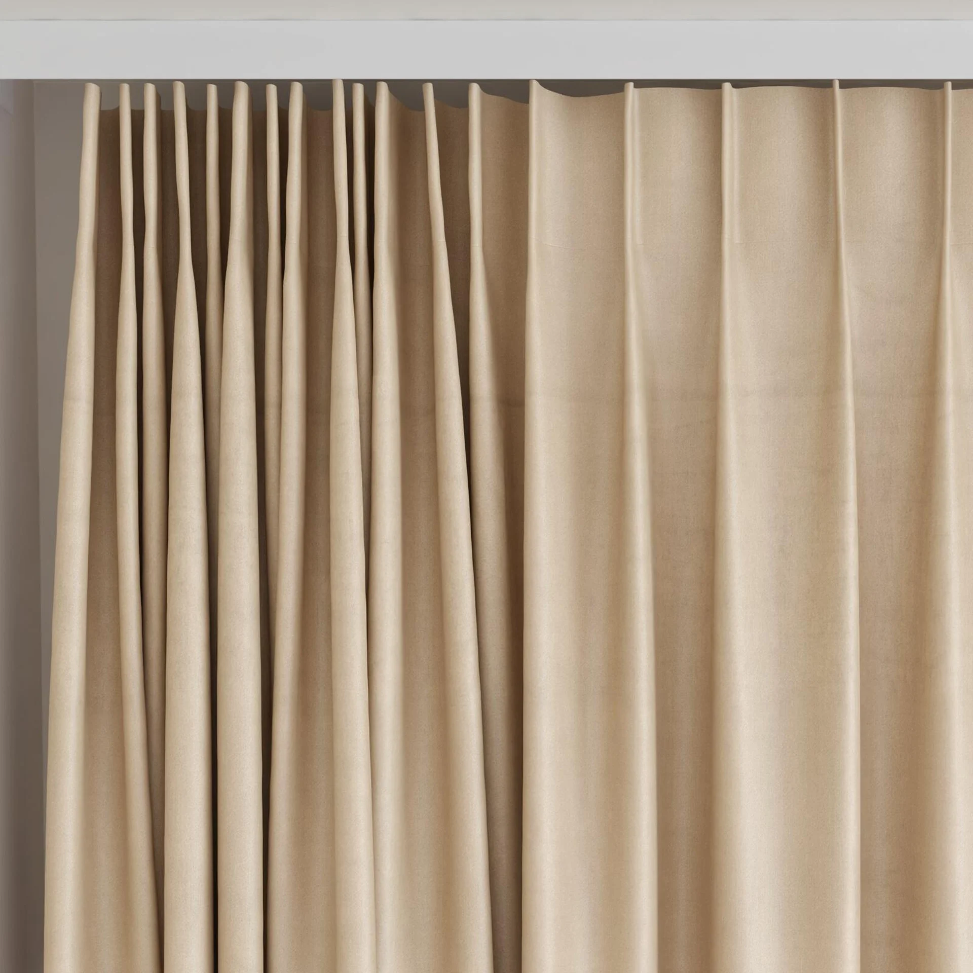 Top view of Warlock Latte, on curtain rail