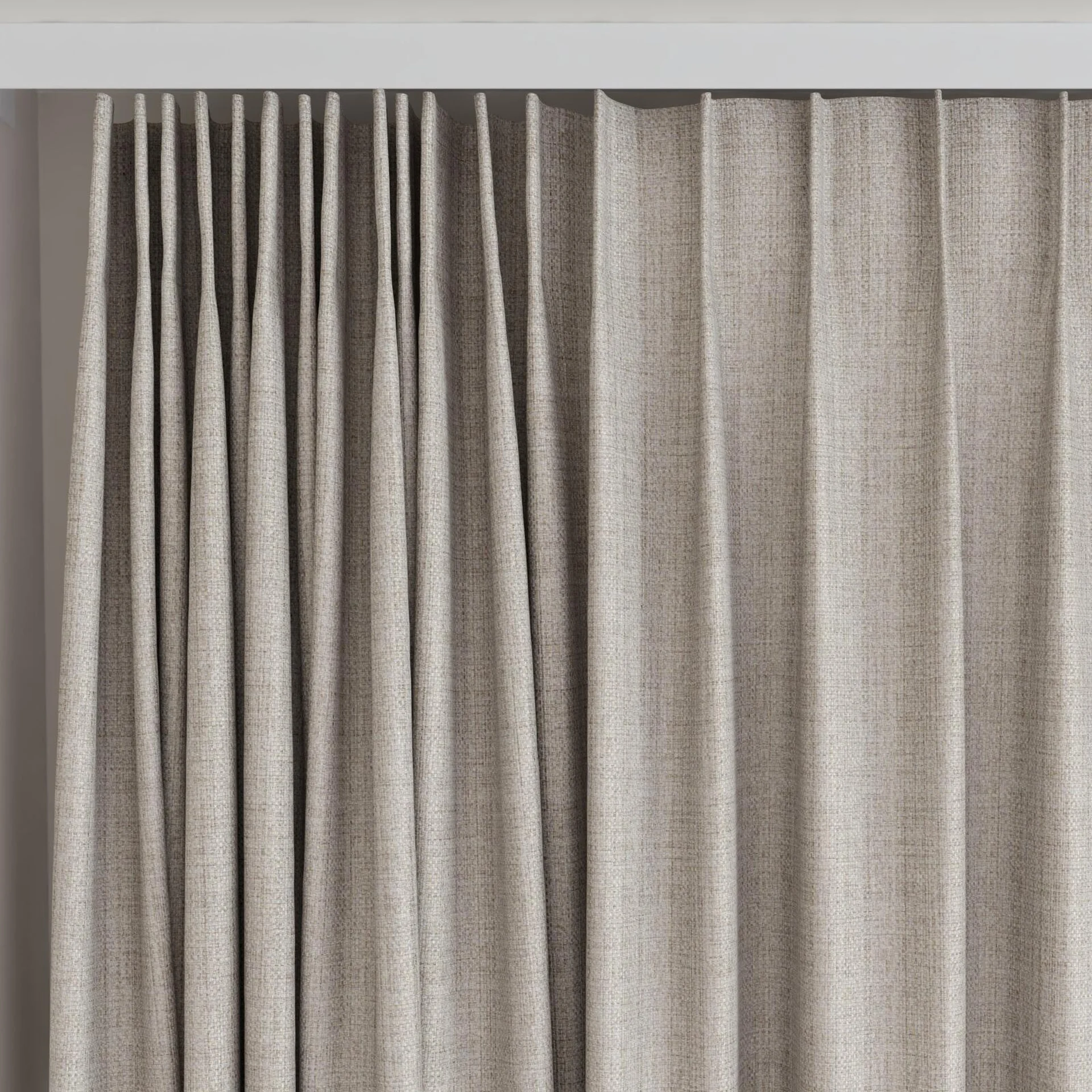 Top view of Latin Oyster, on curtain rail