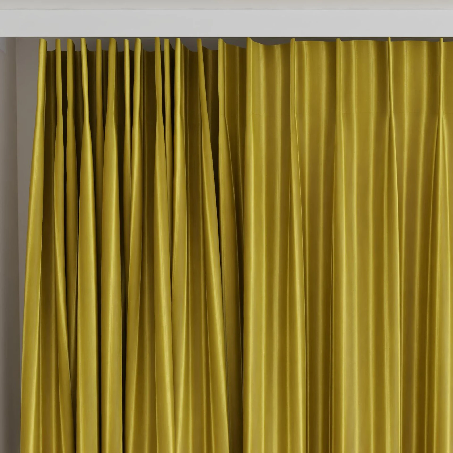 Top view of Cordial Lizard, on curtain rail