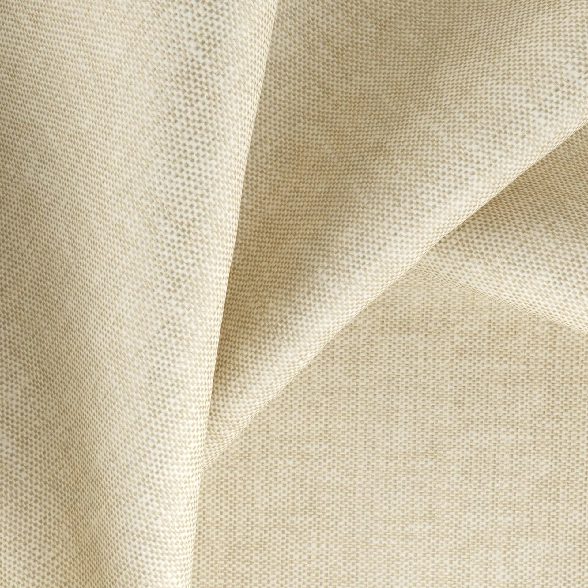 65199 Goa Seagrass
