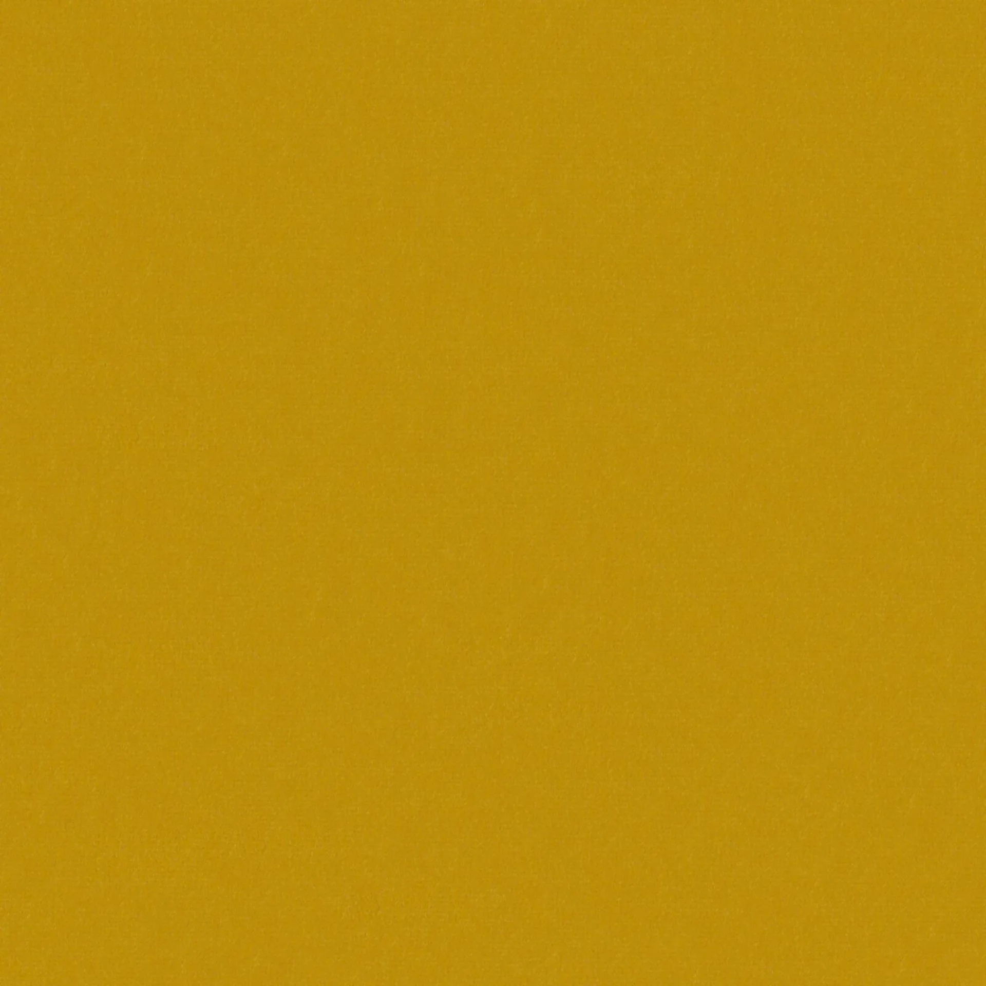81089 Vela Mustard