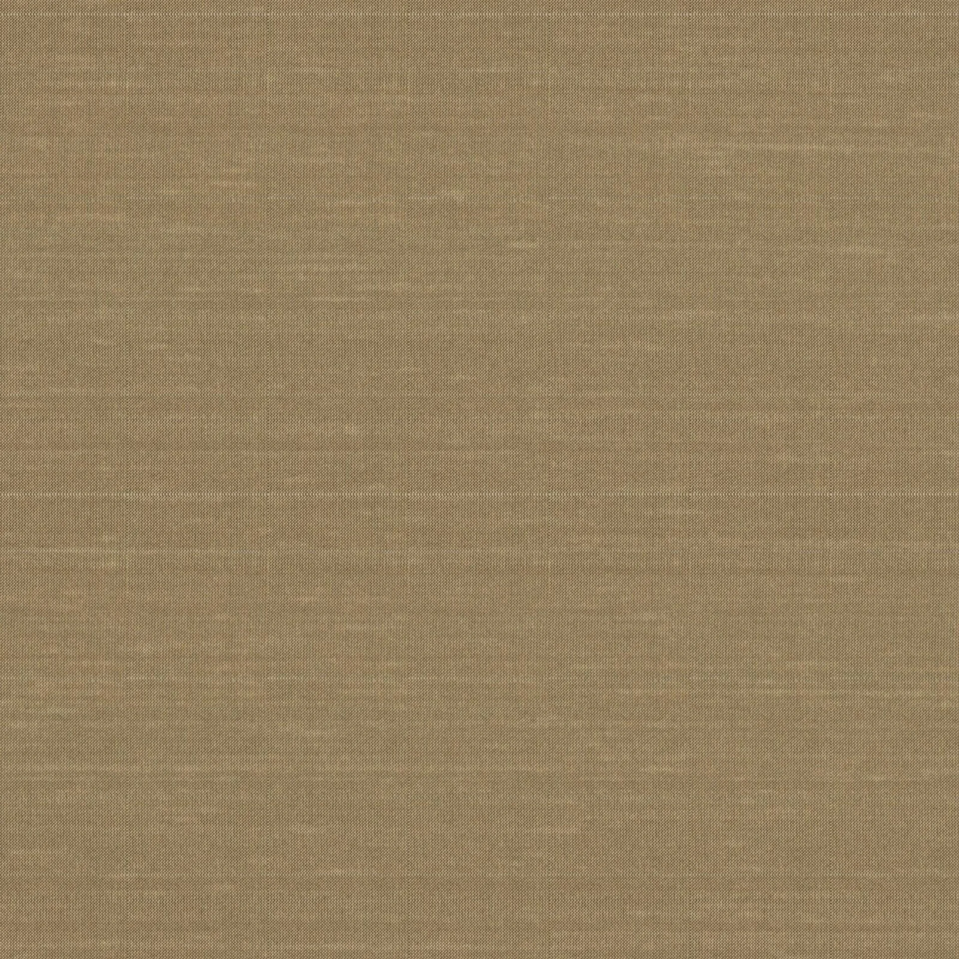 17008 Luxe Chinchilla