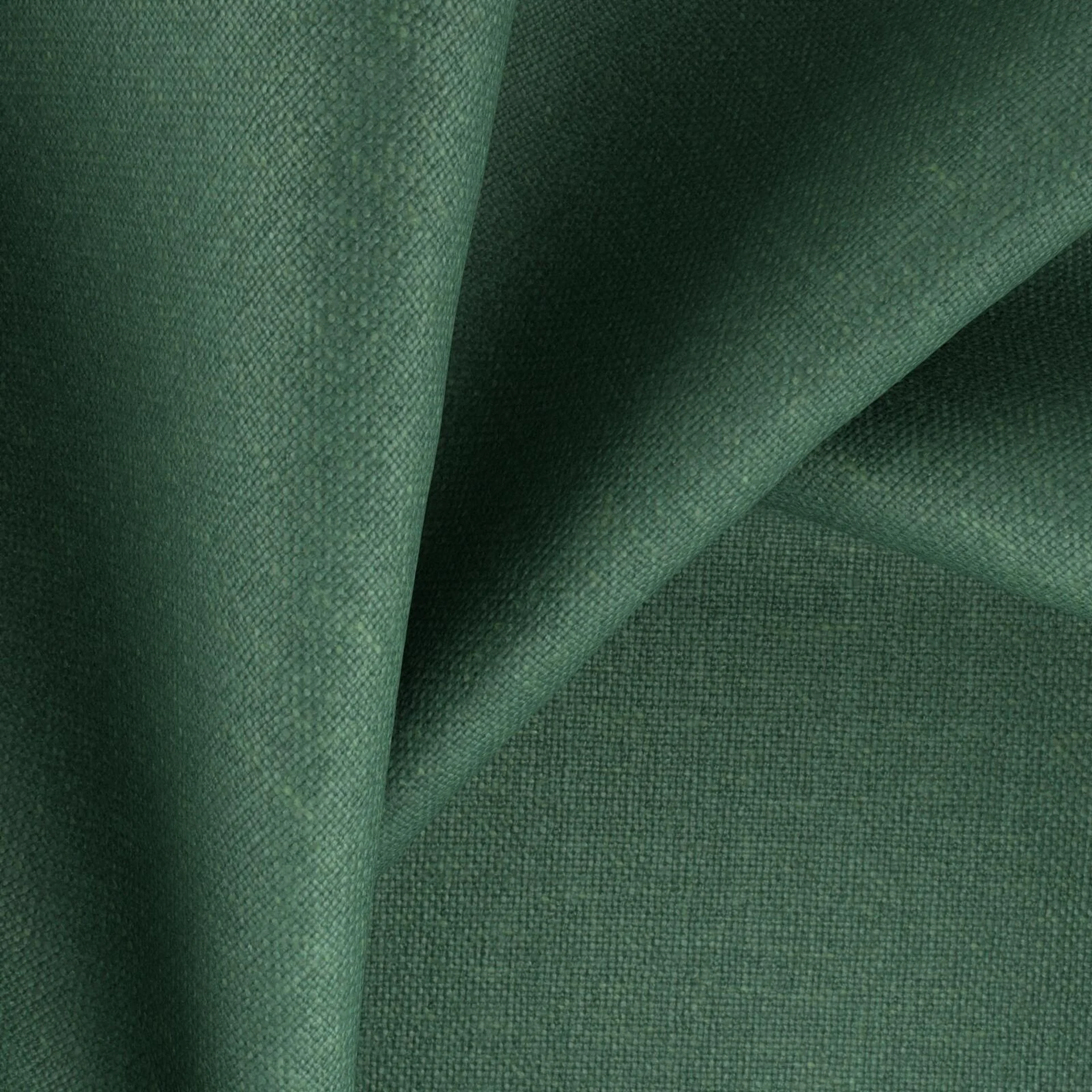 77876 Kanvas Palm
