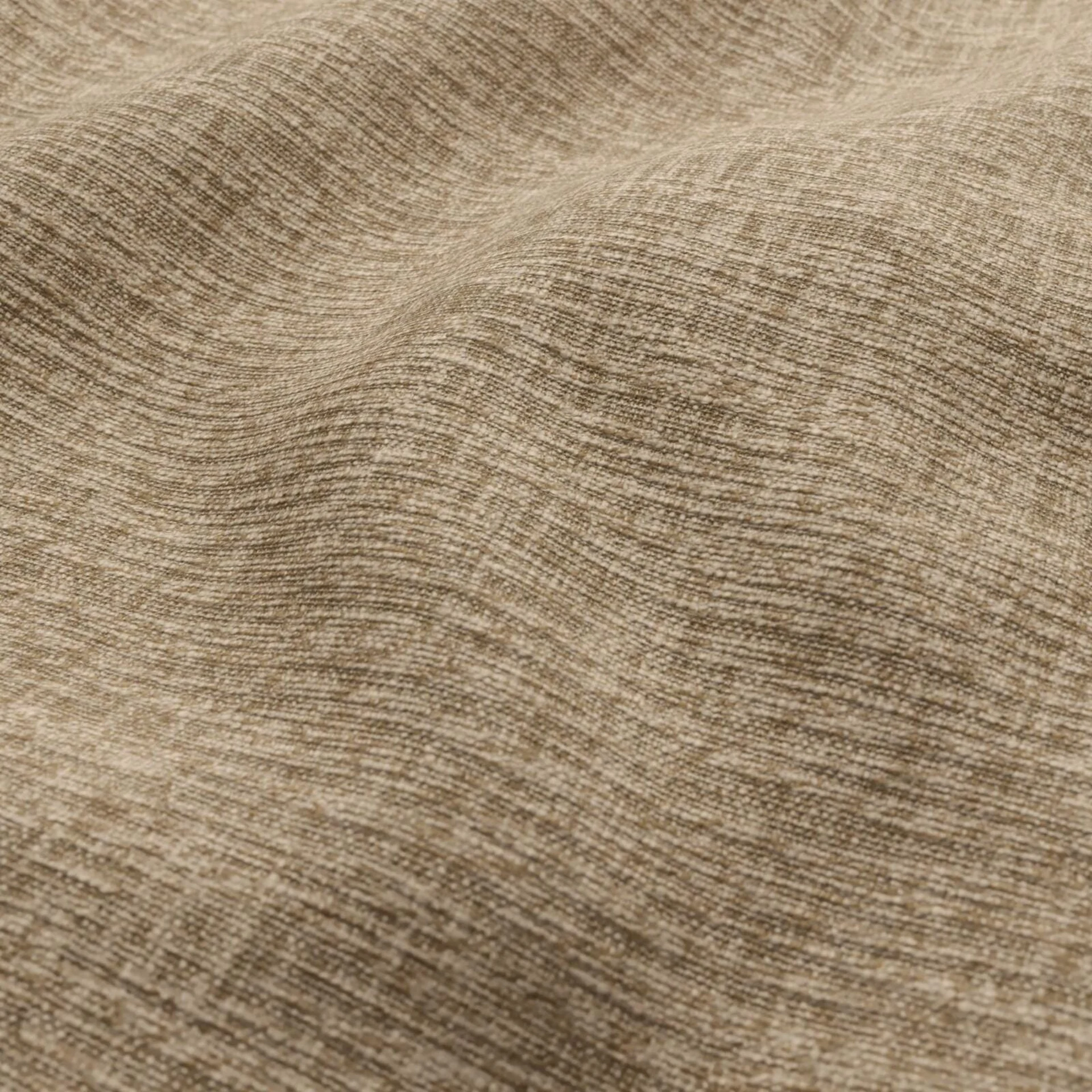97241 Earthwild Camel