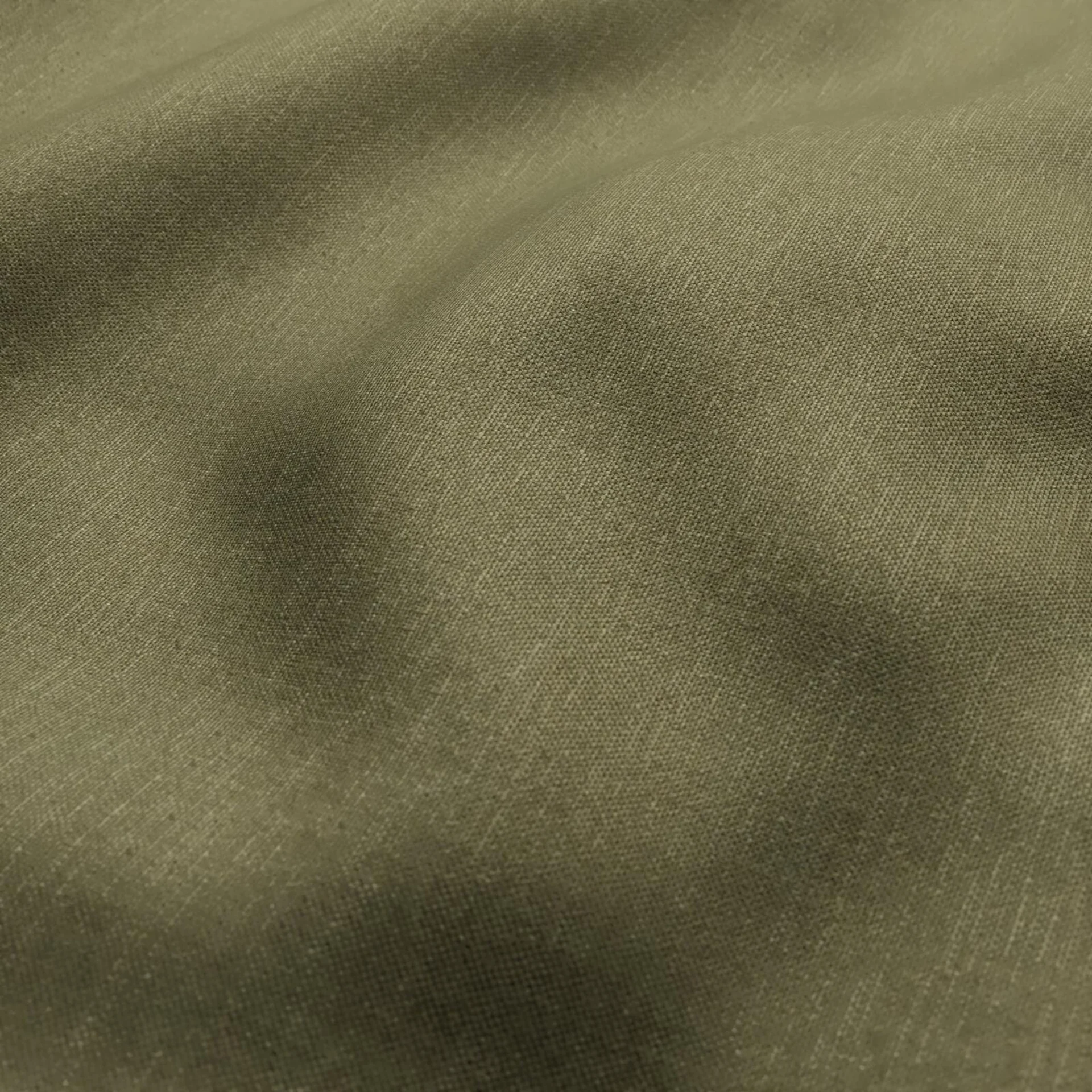 109601 Banksia Moss