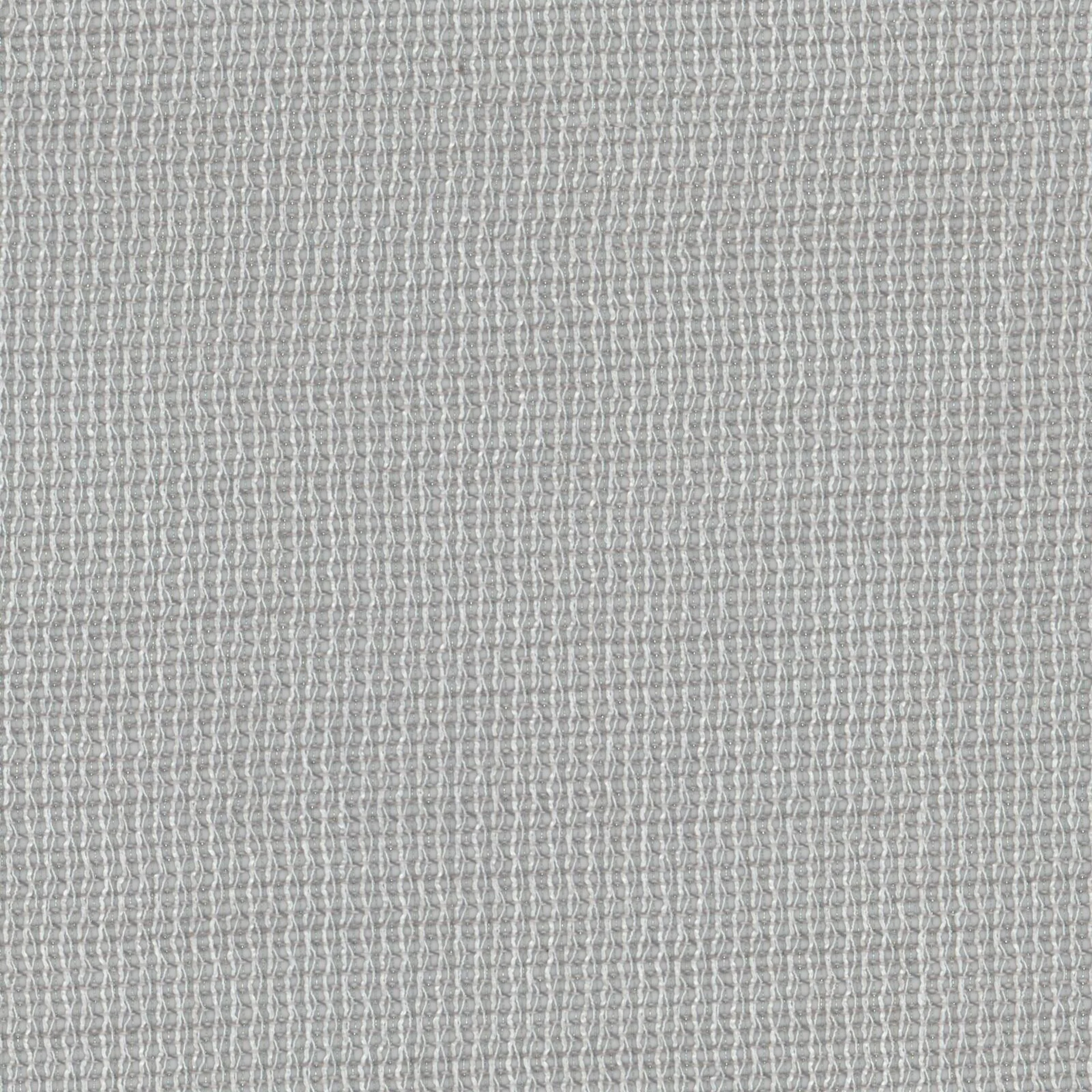 193537 Radiant Mist