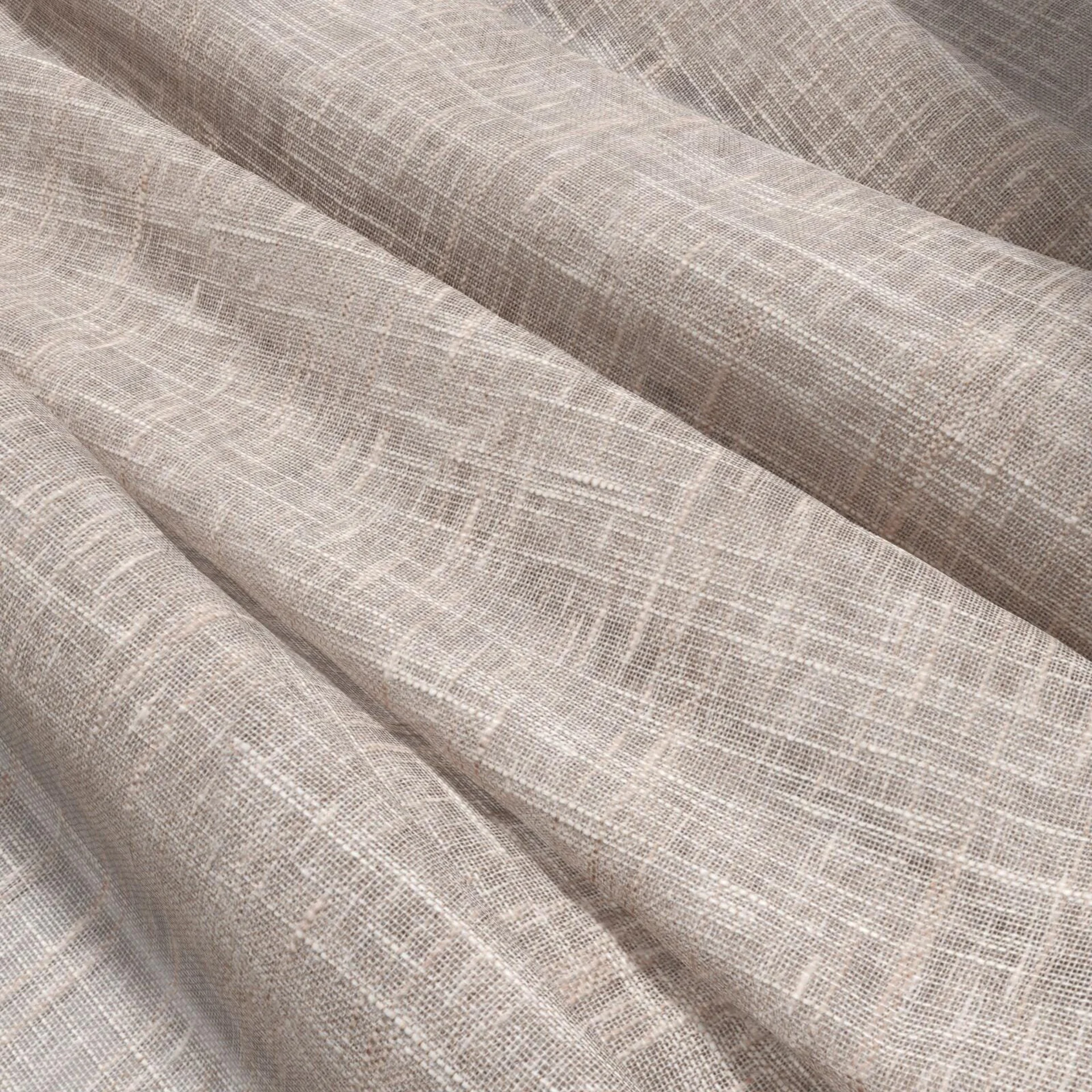 109349 Beech Blush