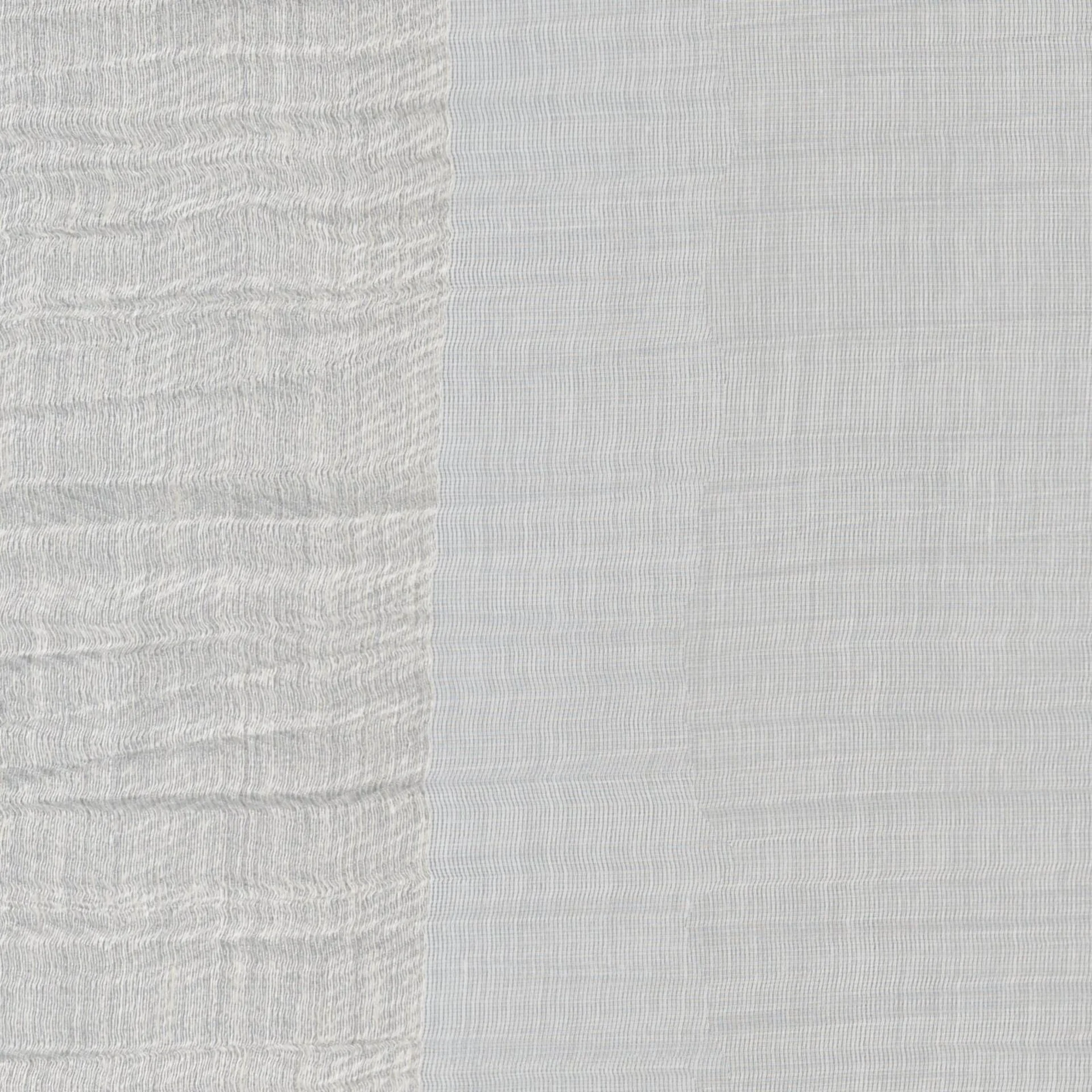 108572 Impression Silverbirch