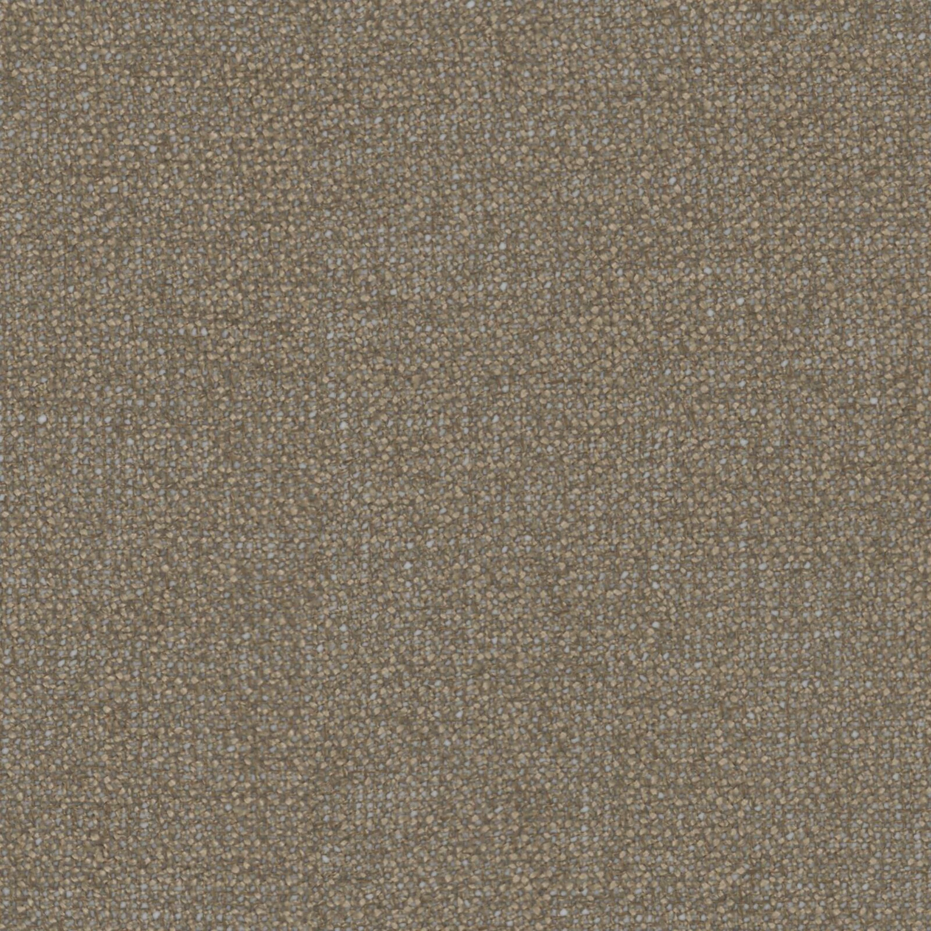 195792 Statement Brownie