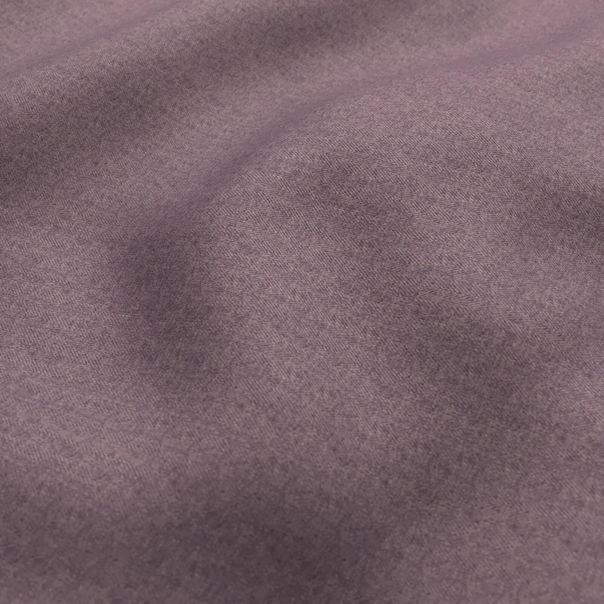 110254 Taylor Plum
