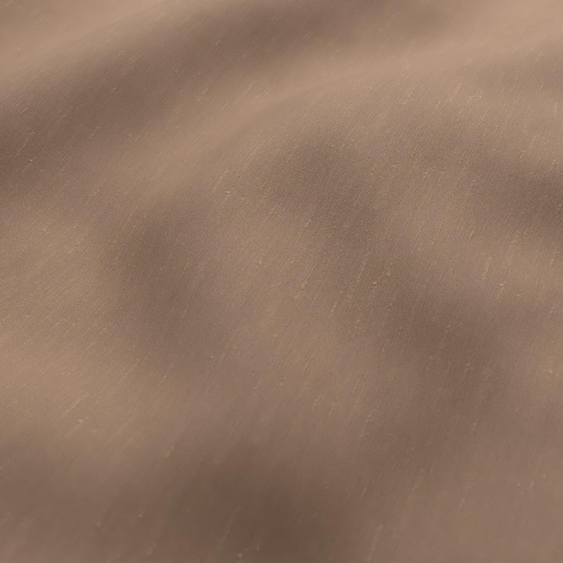 108952 Maharaja II Peach