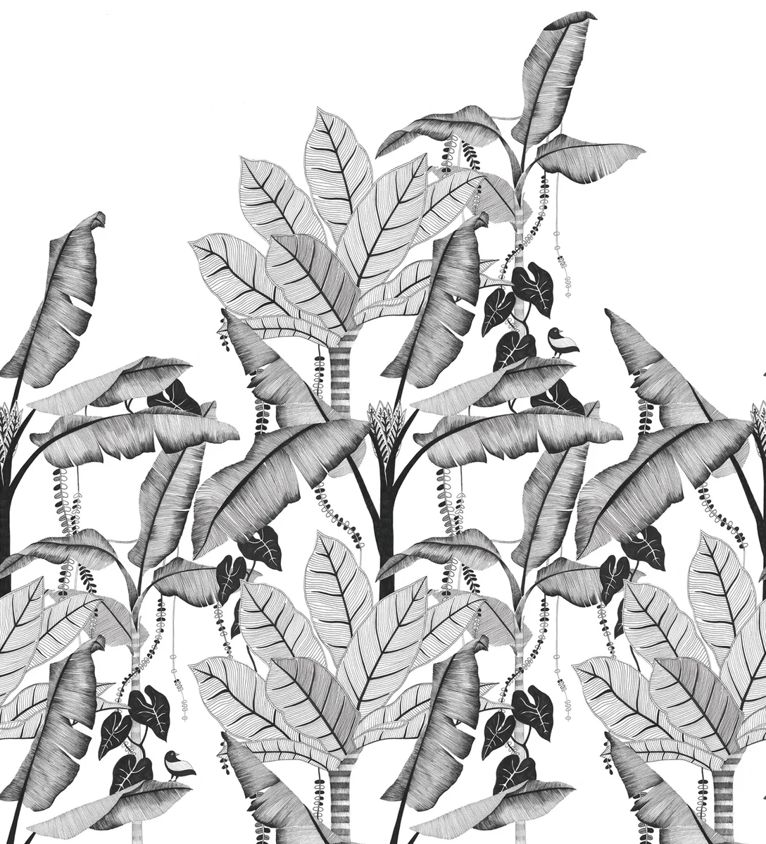 Wallpaper visualiser james dunlop textiles